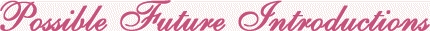 futureintros.gif - 8849 Bytes