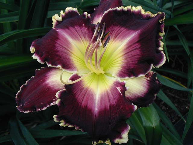 0113