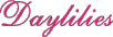 Daylilies