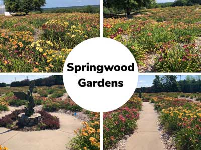 Springwood Gardens